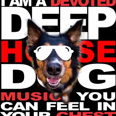 Deep House Dog Thumbnail